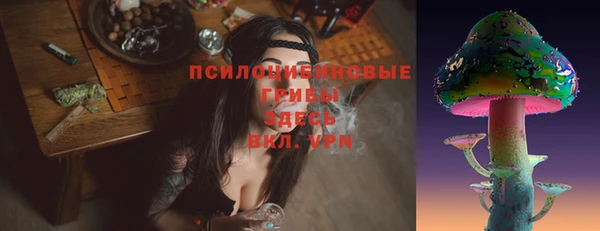 альфа пвп Корсаков
