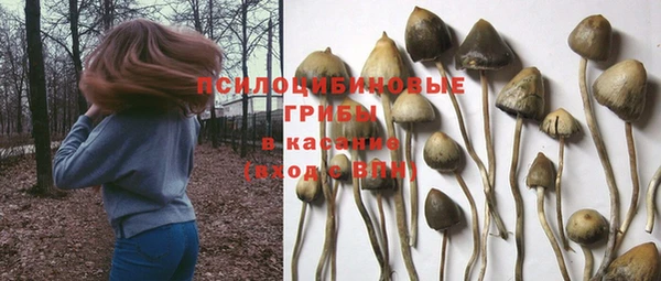 альфа пвп Корсаков