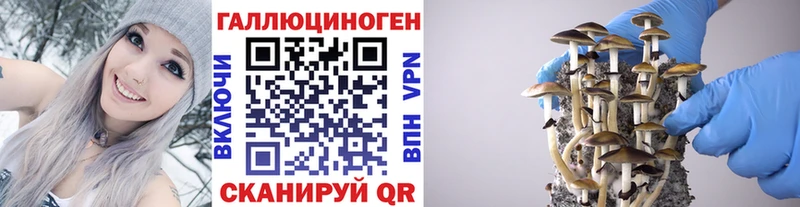 Псилоцибиновые грибы мицелий Фокино